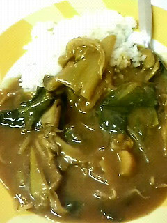 鍋の次の日は☆おいしいお出汁の和風カレー-レシピのメイン写真