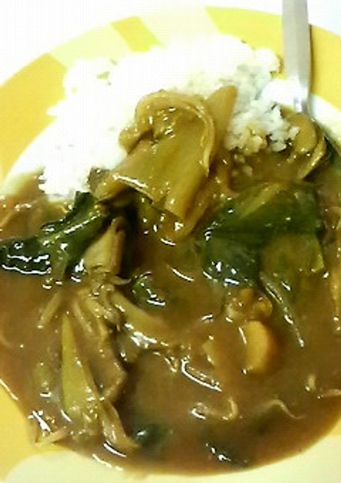 鍋の次の日は☆おいしいお出汁の和風カレー-レシピのメイン写真