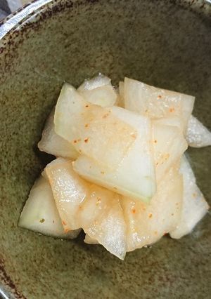 冬瓜の浅漬け♪-レシピのメイン写真