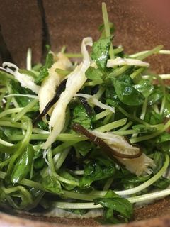 絶品!豆苗とさきいかの塩昆布和え!-レシピのメイン写真