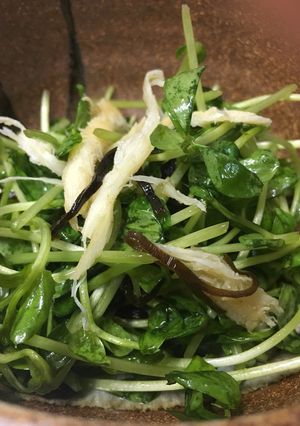 絶品！豆苗とさきいかの塩昆布和え！-レシピのメイン写真