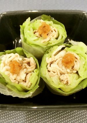 豚肉入り野菜の生春巻き-レシピのメイン写真
