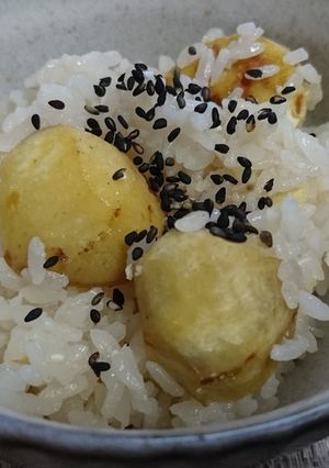 ホクホク栗ご飯-レシピのメイン写真
