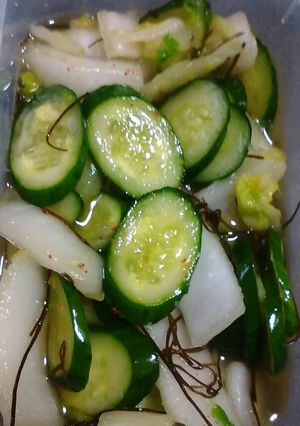 病み付き白菜&きゅうりの浅漬け-レシピのメイン写真