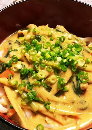 ★豆乳カレーうどん★-レシピのメイン写真