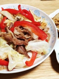 オイスターソースの簡単厚揚げ野菜炒め-レシピのメイン写真
