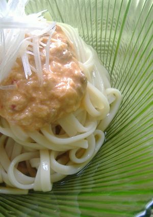 おろしツナ納豆の中華風サラダうどん-レシピのメイン写真