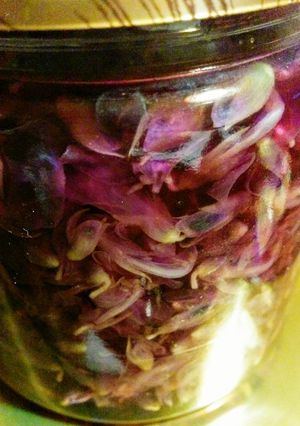 葛の花の砂糖煮-レシピのメイン写真