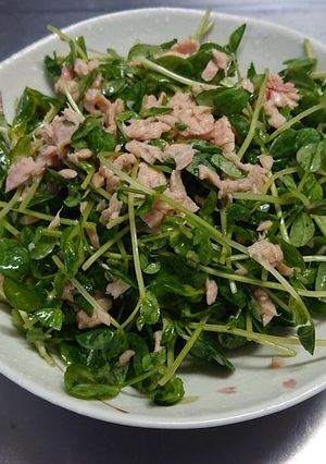 無限豆苗-レシピのメイン写真