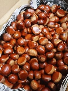 活力鍋 de 栗を茹でる-レシピのメイン写真