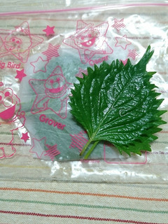 大葉の保存法!-レシピのメイン写真