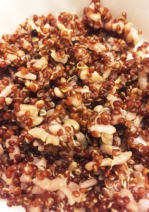 キヌアご飯-レシピのメイン写真