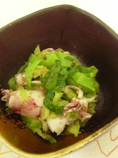 春です 簡単ひいかとキャベツのおひたし-レシピのメイン写真