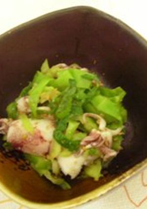 春です　簡単ひいかとキャベツのおひたし-レシピのメイン写真