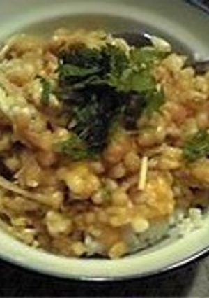 満足・満腹☆天かす丼-レシピのメイン写真
