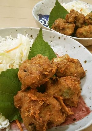 主に豆腐と鶏ミンチとゴーヤで唐揚げもどき-レシピのメイン写真