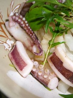 イカと大根のサラダ-レシピのメイン写真