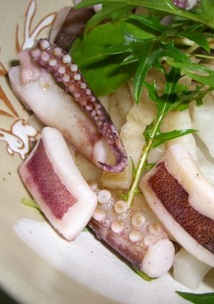 イカと大根のサラダ-レシピのメイン写真