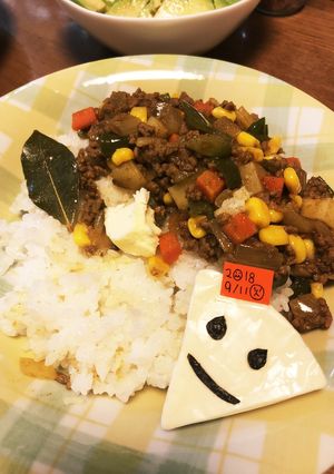 簡単〜香辛料香るドライカレー【No.1】-レシピのメイン写真