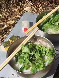 山ごはん簡単鶏とパクチーともやしのフォー-レシピのメイン写真