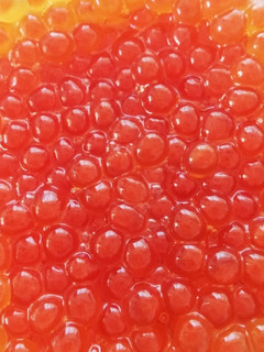イクラの醤油づけ(うす味)-レシピのメイン写真