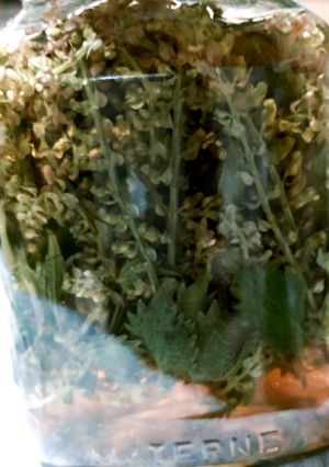 シソの花の梅酢漬け-レシピのメイン写真
