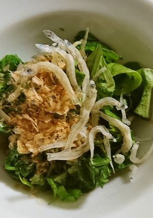 大根菜っぱ簡単おひたし-レシピのメイン写真