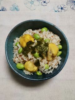 鶏そぼろベース☆栗と枝豆。混ぜご飯-レシピのメイン写真