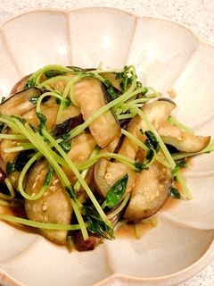 茄子と豆苗のポン酢炒め-レシピのメイン写真