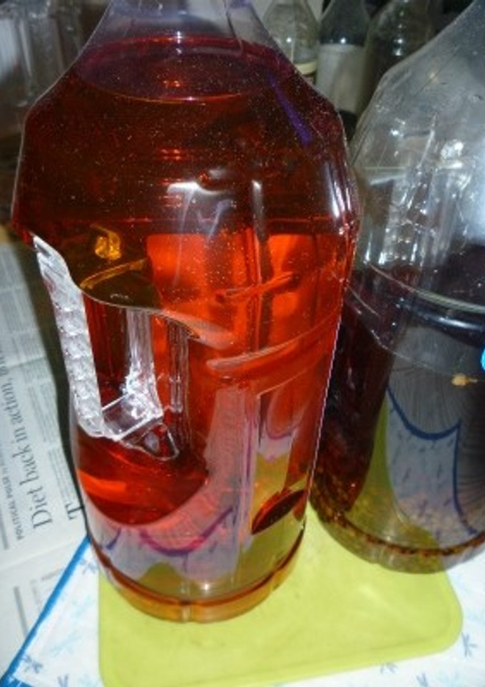 実山椒酒の実飲版-レシピのメイン写真