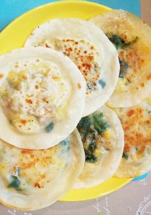 こどもに野菜を食べさせれる餃子の皮包み-レシピのメイン写真