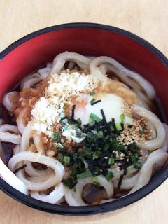 のせるだけ☆ぶっかけうどん!-レシピのメイン写真
