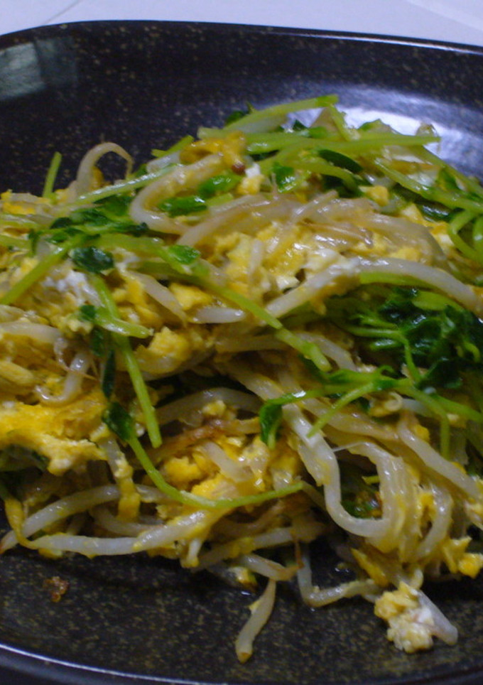 もやしと豆苗の卵とじ-レシピのメイン写真