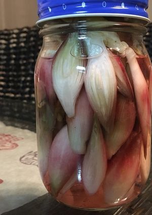 ミョウガの酢漬け-レシピのメイン写真