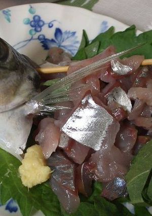 ヒレぴんっ♪元気姿♪鯵のたたき-レシピのメイン写真