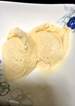 お家で本格アイスクリーム-レシピのメイン写真