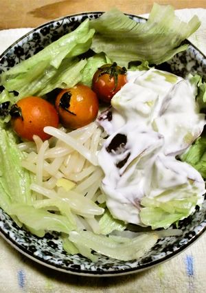 もやしとレタスのサラダ(秋バージョン))-レシピのメイン写真