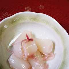 รูปของ みょうがらっきょう♪肩コリ解消したかも♫