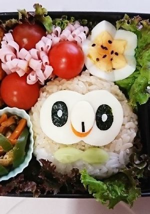 キャラ弁 ポケモン☆モクロー弁当3-レシピのメイン写真
