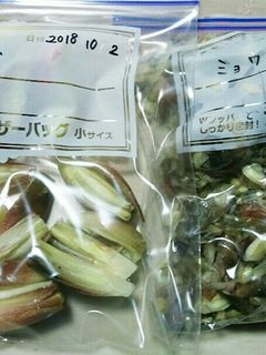 ミョウガ(茗荷)の保存方法!冷凍保存-レシピのメイン写真