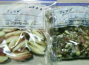 ミョウガ(茗荷)の保存方法！冷凍保存-レシピのメイン写真