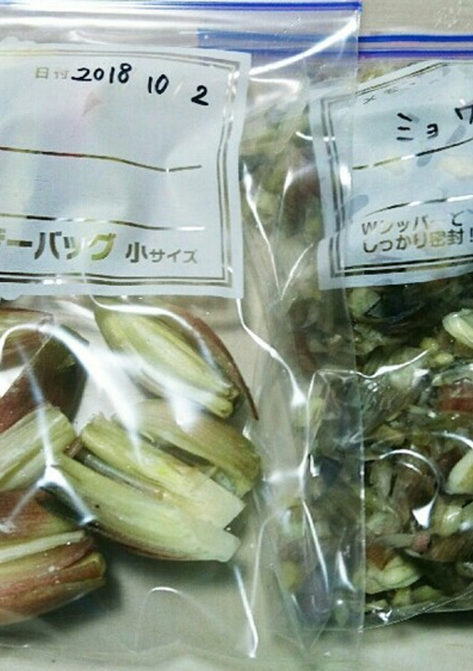 ミョウガ(茗荷)の保存方法！冷凍保存-レシピのメイン写真
