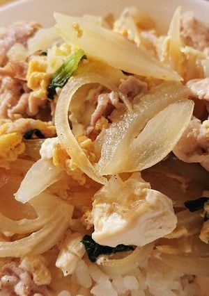 ヘルシー！豚肉とたっぷり野菜の他人丼-レシピのメイン写真