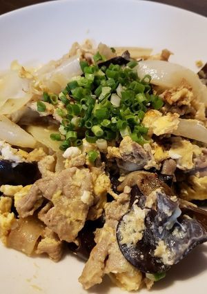 豚肉と玉ねぎキクラゲの炒め物-レシピのメイン写真
