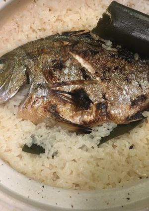 鯛めし-レシピのメイン写真