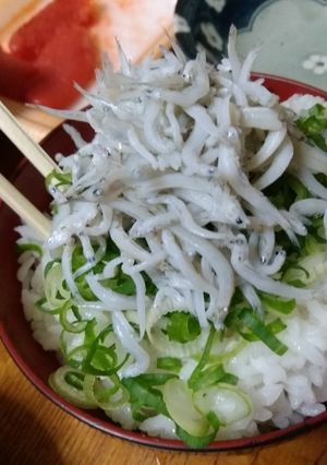 釜揚げちりめん乗せる飯-レシピのメイン写真