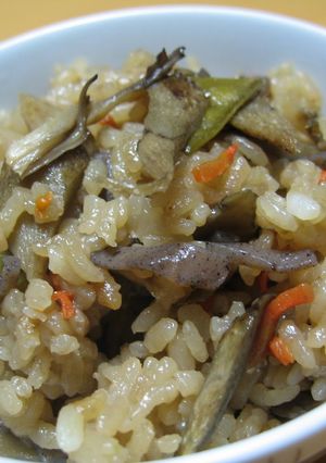 うちの定番！ごぼうの炊き込みご飯♪-レシピのメイン写真