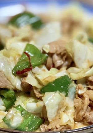 大人の総菜◎ニンニクを使わない回鍋肉-レシピのメイン写真