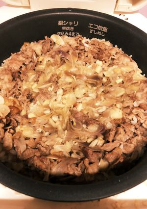 国産のお肉で炊き込みご飯♪-レシピのメイン写真