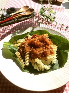 カットトマト缶から作るミートソース -レシピのメイン写真
